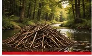 Woodland trail and natural materials
